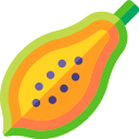 papaya icon