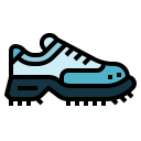 zapatos icon