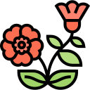 rosa icon