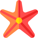 estrella de mar 