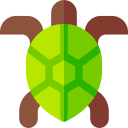 tortuga marina icon