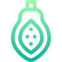 papaya icon