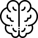 Brain 