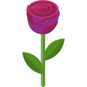 rosa icon