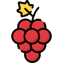 uvas icon