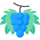 uvas icon