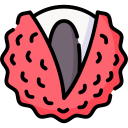 lychee icon