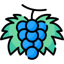 uvas icon