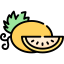 melón icon