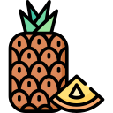 piña icon