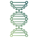 estructura del adn 