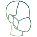 coronavirus icon
