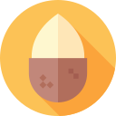 almendra icon