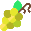 uvas icon