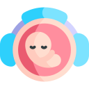 Fetus icon