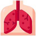 pulmones icon