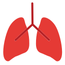 pulmones icon