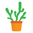 cactus icon