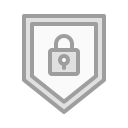 seguridad icon