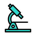 observación icon