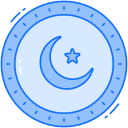 moneda icon