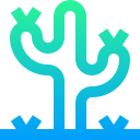 cactus icon