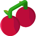 cerezas icon