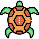 tortuga icon