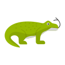 komodo icon