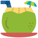 bebida de coco icon