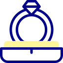 anillo icon