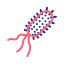 bacterias icon