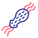 bacterias icon