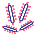 virus icon