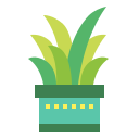 cactus icon