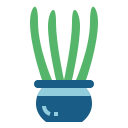 cactus icon