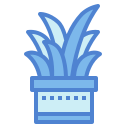 cactus icon