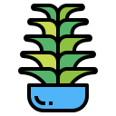 kaktus icon