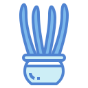 cactus icon