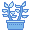 cactus icon