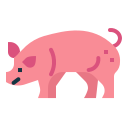 cerdo icon