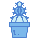 cactus icon