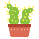 cactus icon