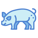 cerdo icon