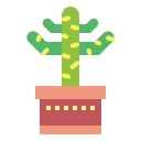 cactus icon