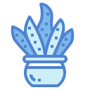 cactus icon