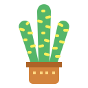 cactus icon