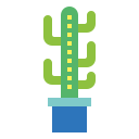 cactus icon