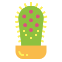 cactus icon