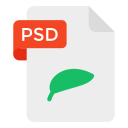 archivo psd 